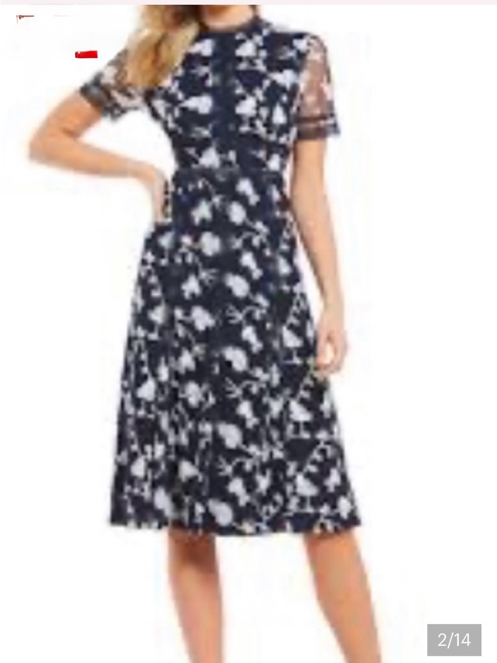 Antonio Melani Floral Navy Midi Dress with Sheer Short Sleeves